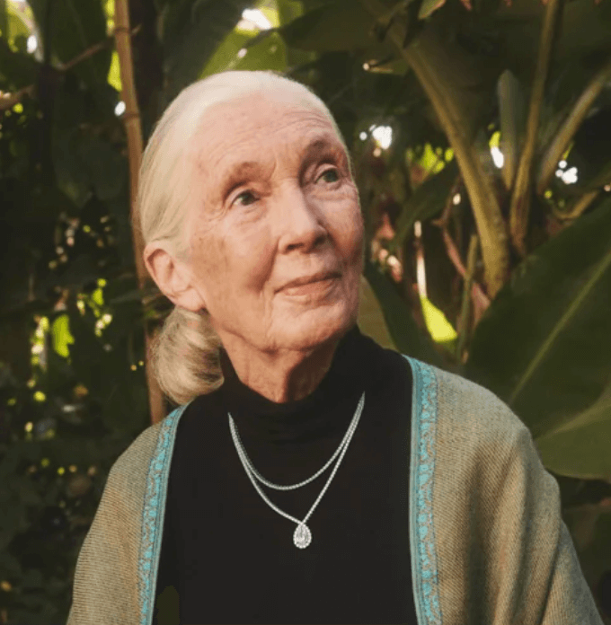 jane goodall collection